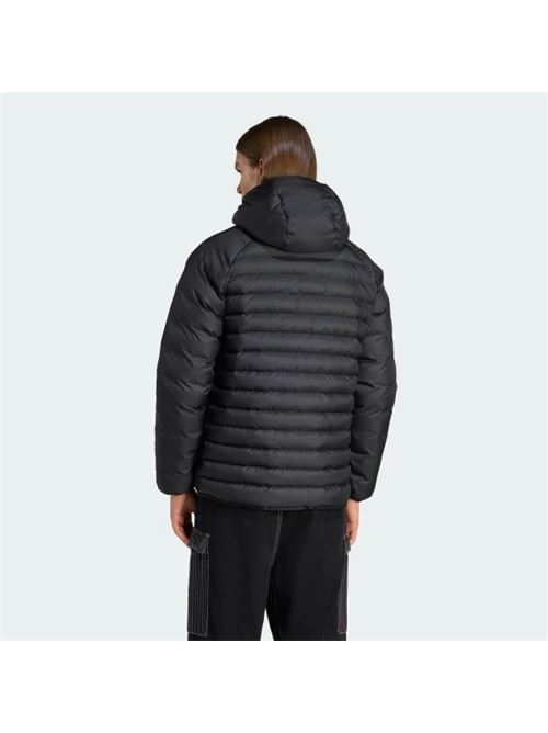 pad hooded jkt ADIDAS ORIGINAL | JX4117BLACK/BLACK